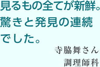 見るもの全てが新鮮。驚きと発見の連続でした。